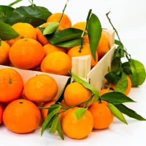Clementine (cassetta da 10 kg)