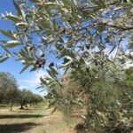 469130370_122256704054004199_1396093480417196743_n