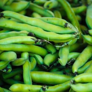 Fave (cassetta da 5 kg)